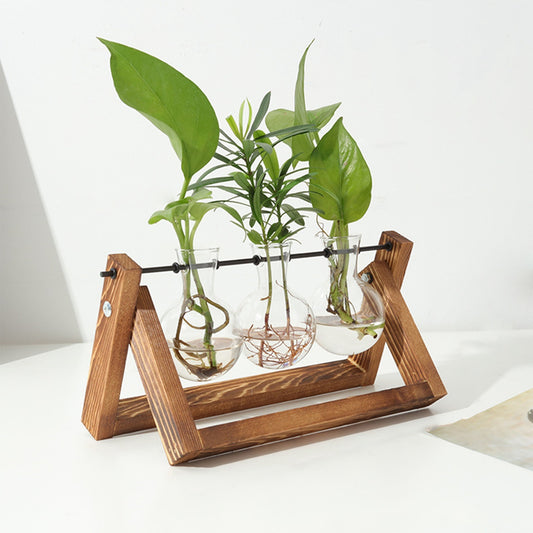 Glass Planter Bulb