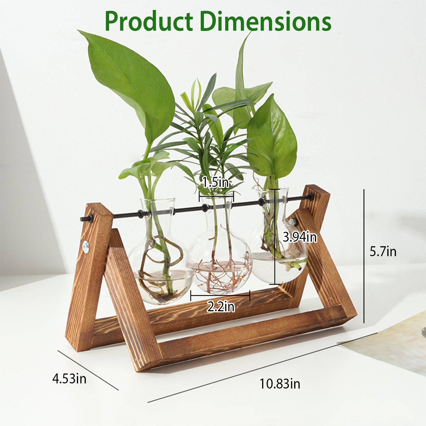 Glass Planter Bulb