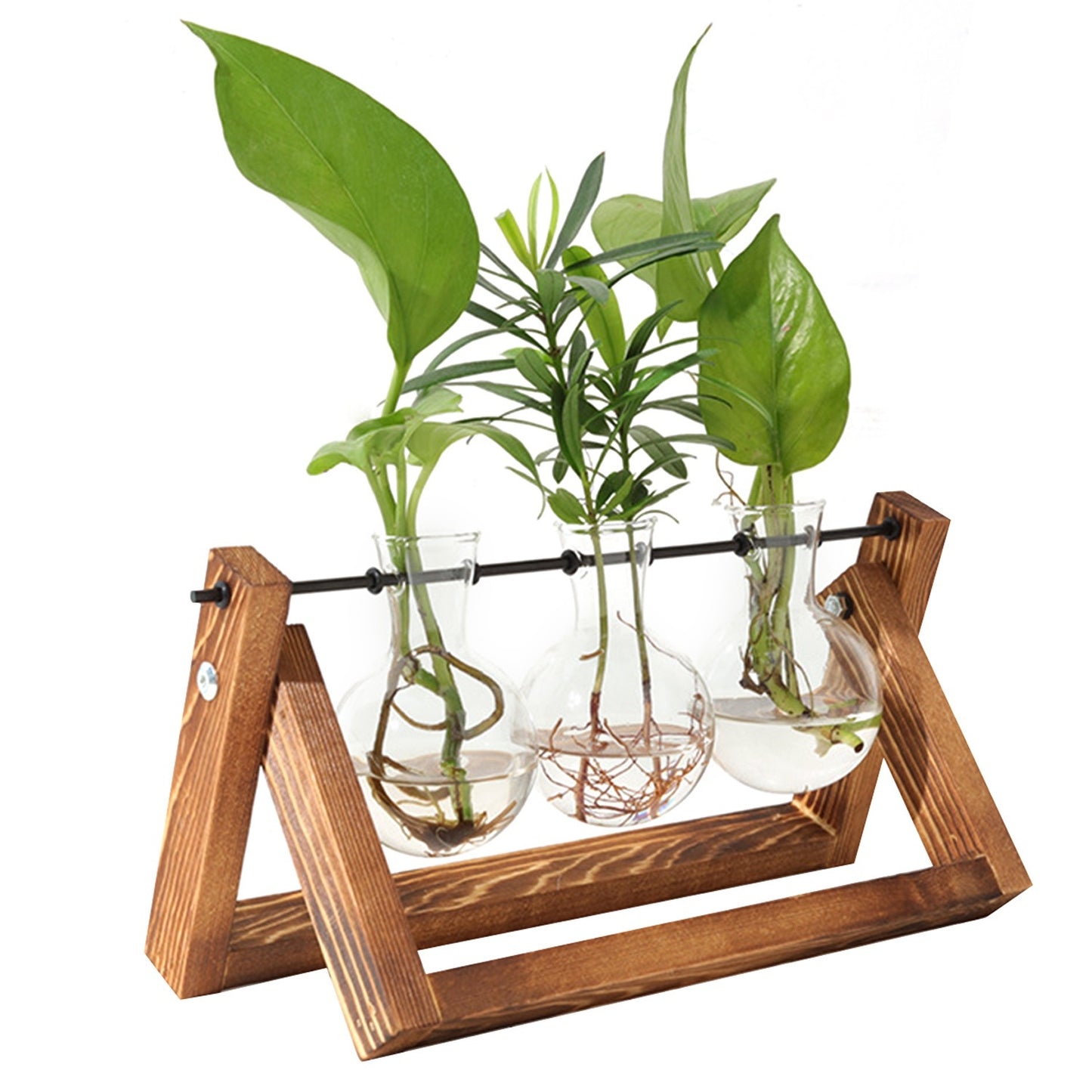 Glass Planter Bulb